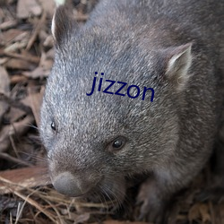 jizzon