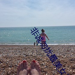 非诚勿扰最美女嘉宾