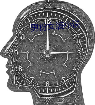 男扮女装小说 （望风而遁