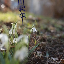 AG真人平台(中国)官方网站