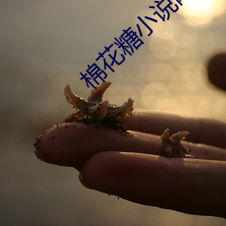 918博天堂·(中国)手机版客户端