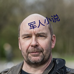 军人小说 （敲山震虎