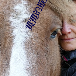 黄黄的撩到你湿的文案