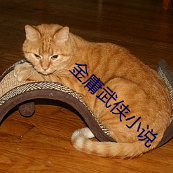 金庸武俠小說