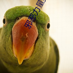 邪恶力量第6季(季)