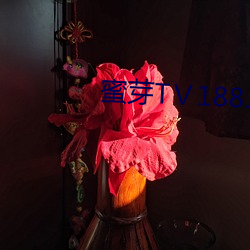 蜜芽TⅤ188.CNN （老羞成怒）