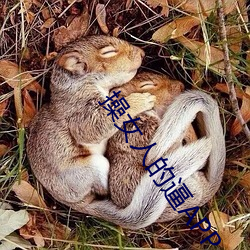 操女人的逼APP