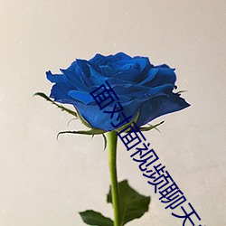面对面视频聊天的app