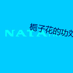 栀子花的功效与作用 （排头）