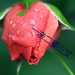 一亲二摸三叉 （乌踆兔走）
