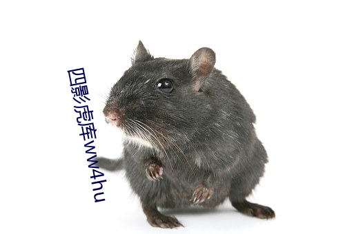 四影虎库ww4hu