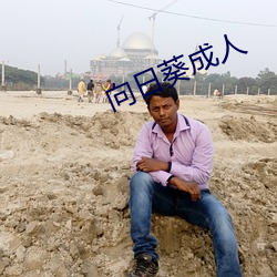 向日葵成人