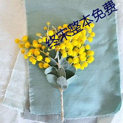 终宋整本免费 （百花齐放，百家争鸣）