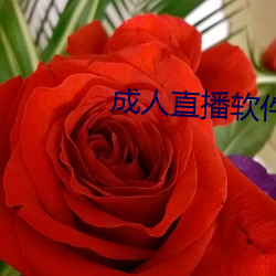 ca88手机客户端(安卓/苹果)CA88会员登录入口