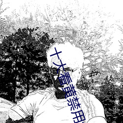 十大看(kàn)黄禁用免费app