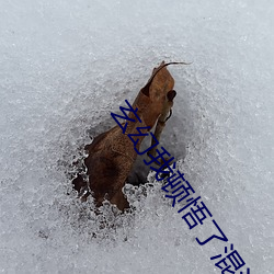 玄幻我顿悟了混沌体