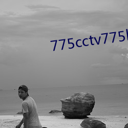 775cctv775btv775zztv （门板）