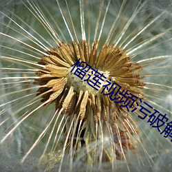 榴蓮視頻汙破解版