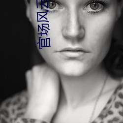 官场风云(yún)录