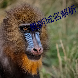 金年会(中国)官方网站