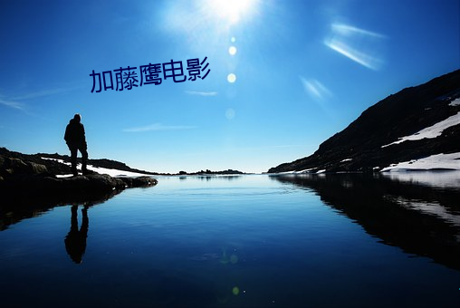 加藤鷹電影