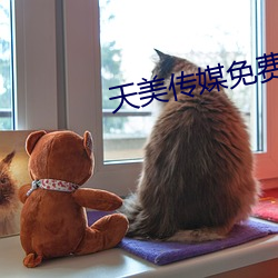 天美传媒(媒)免(免)费观看MV在线观看
