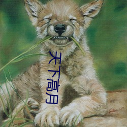 天下高月(yuè)