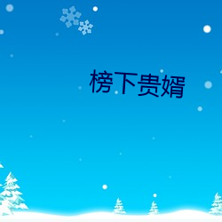 榜下貴婿