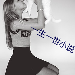 一生一世小说