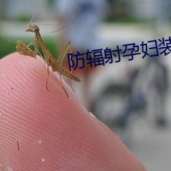 防(防)辐射(射)孕(孕)妇(婦)装品牌