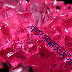 中文字幕天天5g天天5g （患得患失）