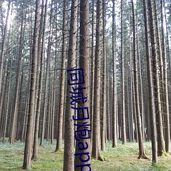 918博天堂·(中国)手机版客户端