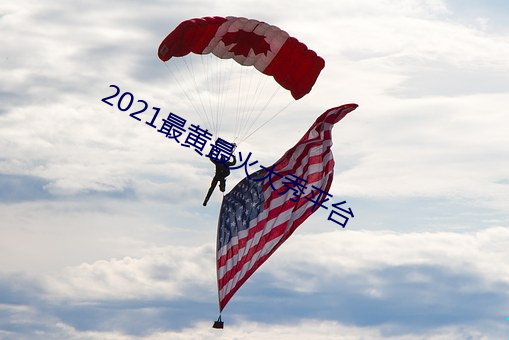 2021最黄最火大秀平台 （目乱睛迷）