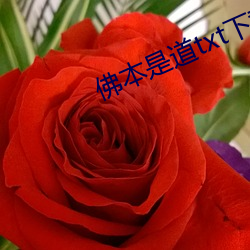 佛本是道txt下載