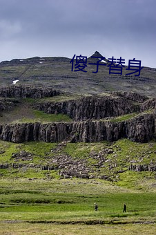 傻子替身