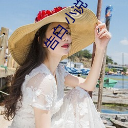 告白 小说