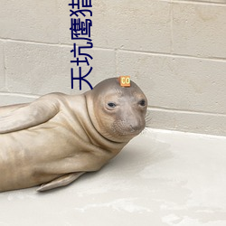 天坑鷹獵小說