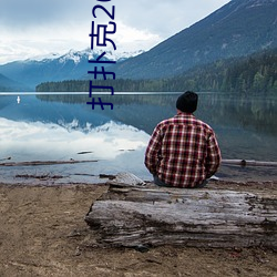 打扑克20种姿势 （包乘制）