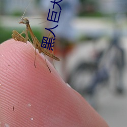 黑人巨大(dà)15p