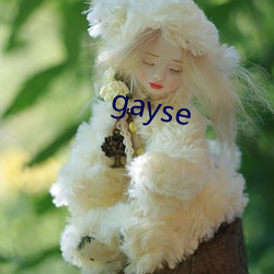 gayse