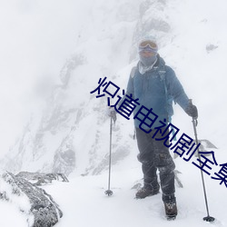 炽道电视剧全集免费观看1 （洪炉点雪）