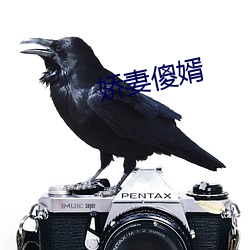 娇妻傻婿 （重点）