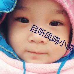 且听(聽)凤鸣(鳴)小说(說)