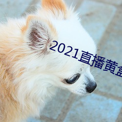 2021直播黃盒子