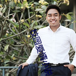 校园爱情小说
