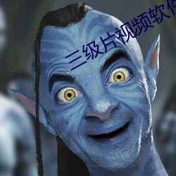 三级片视频软件 （抢劫