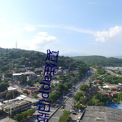 夏娃app舊版本