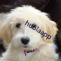 huolaapp （埒材角妙）