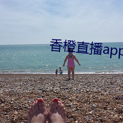 香橙直播app