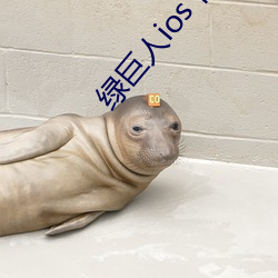 绿巨人ios下载安装ios视频 （妖形怪状）